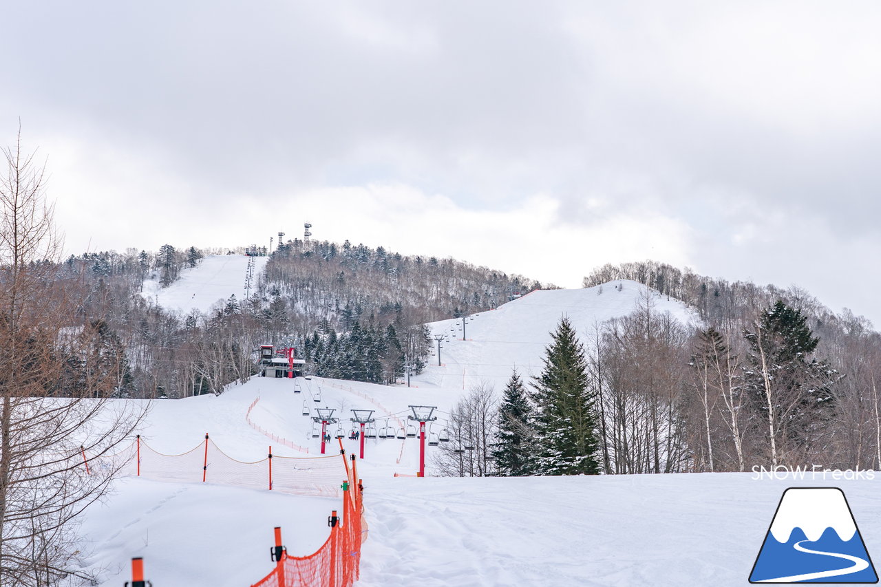 日高国際スキー場｜北海道の背骨・日高山脈を滑る！良好な雪質とロングコースが魅力のローカルゲレンデ♪